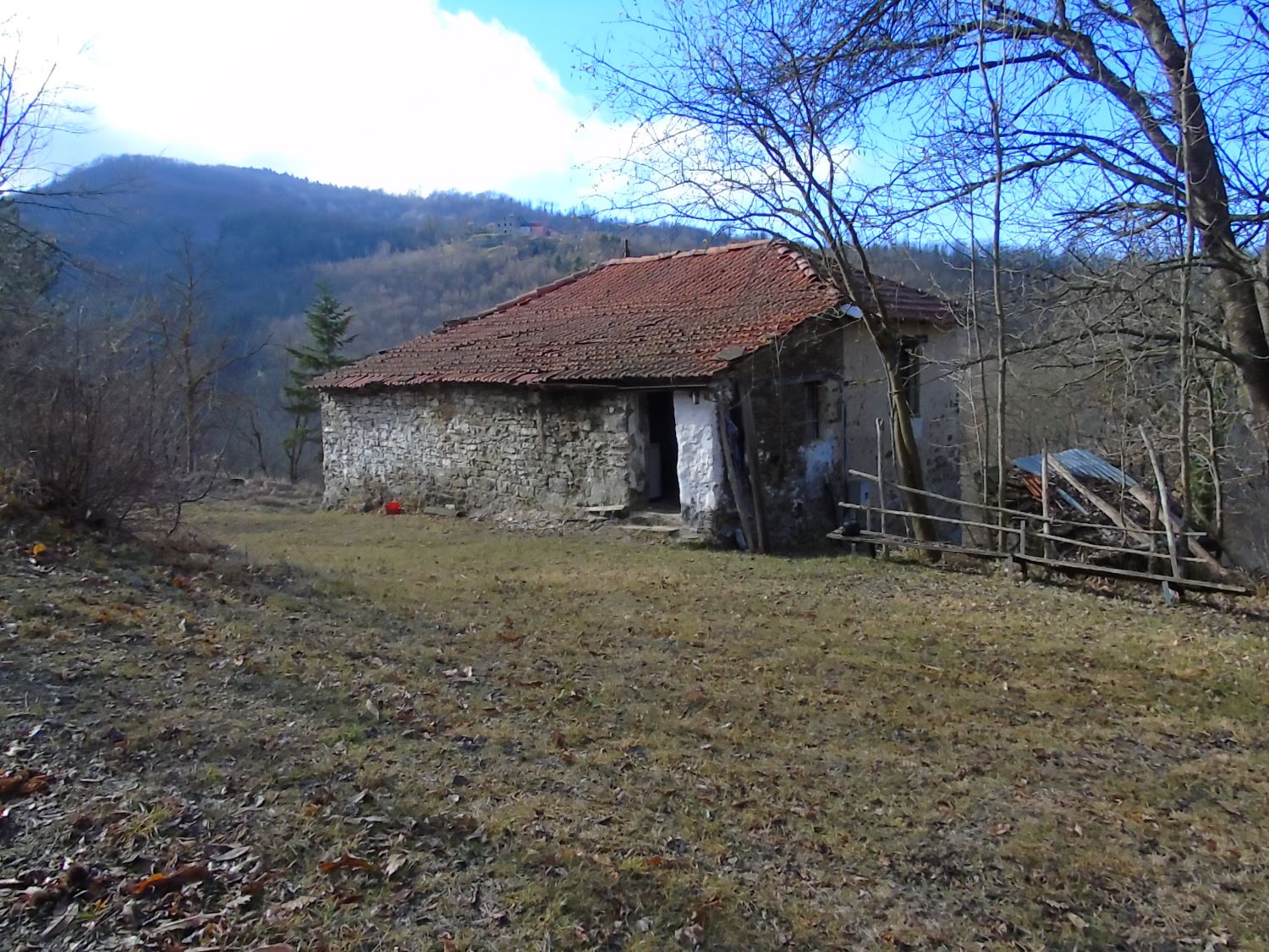 Rif.181 Rustici Carazza