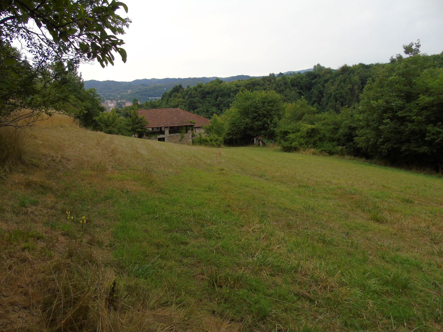 Rif.207 Proprietà Vignali